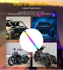 Whip Light 1 to 2